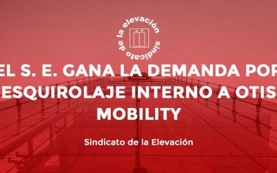 DEMANDA POR ESQUIROLAJE